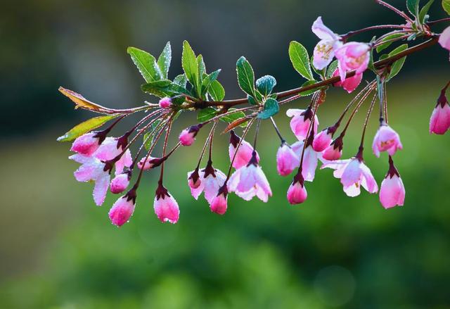光影实验 — 校园记忆·高能版 缩略图