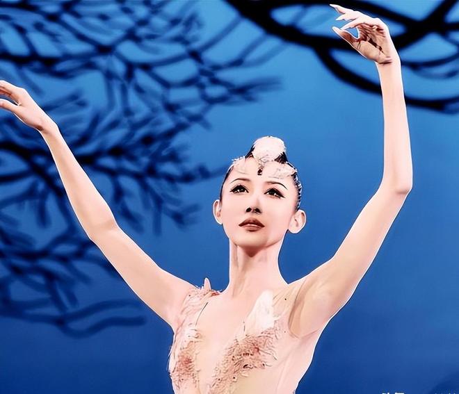 七七记录号 头像